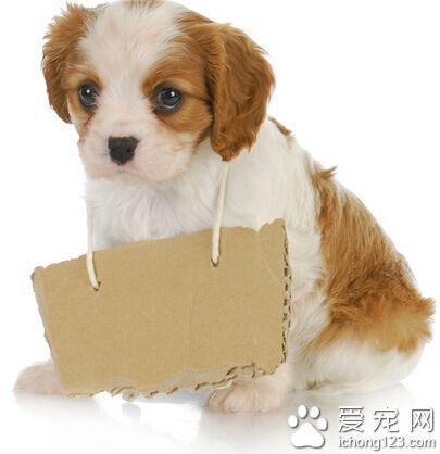 通过理疗改善篮球运动员的肌肉恢复方案_2